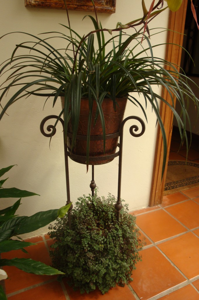 Flower Pot (Iron and Metal)