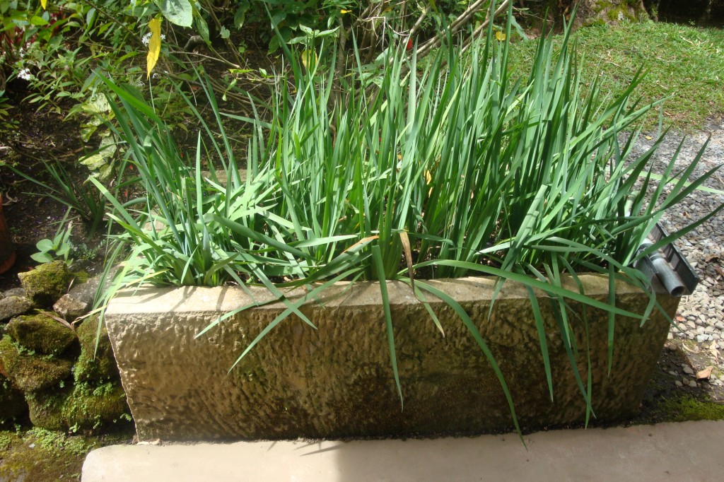 Large Heavy Stone Planter $150