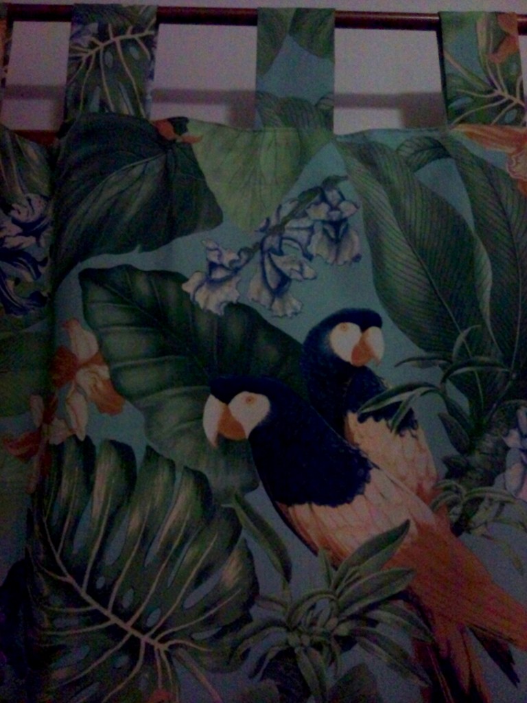 Exotic Curtain $350 incl. Iron Rod